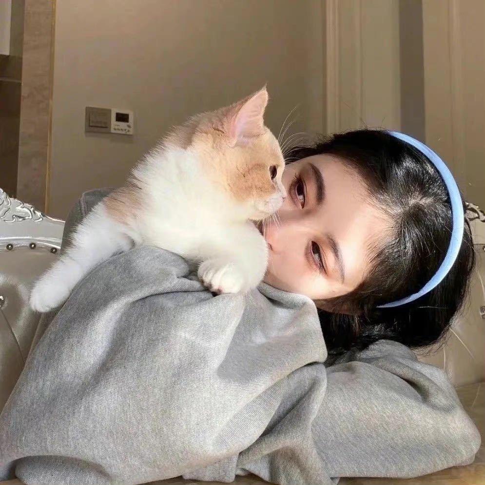朕
