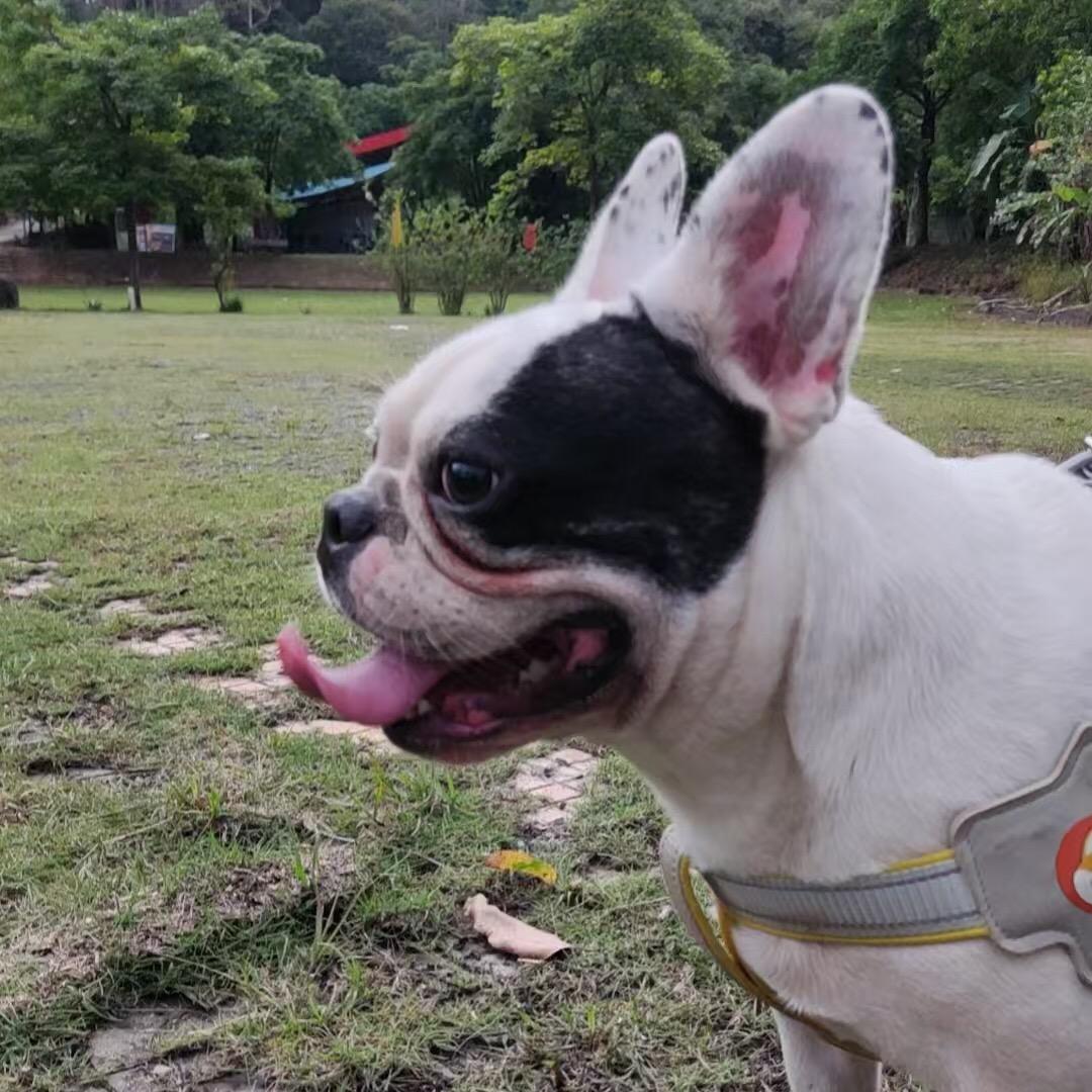 李尤