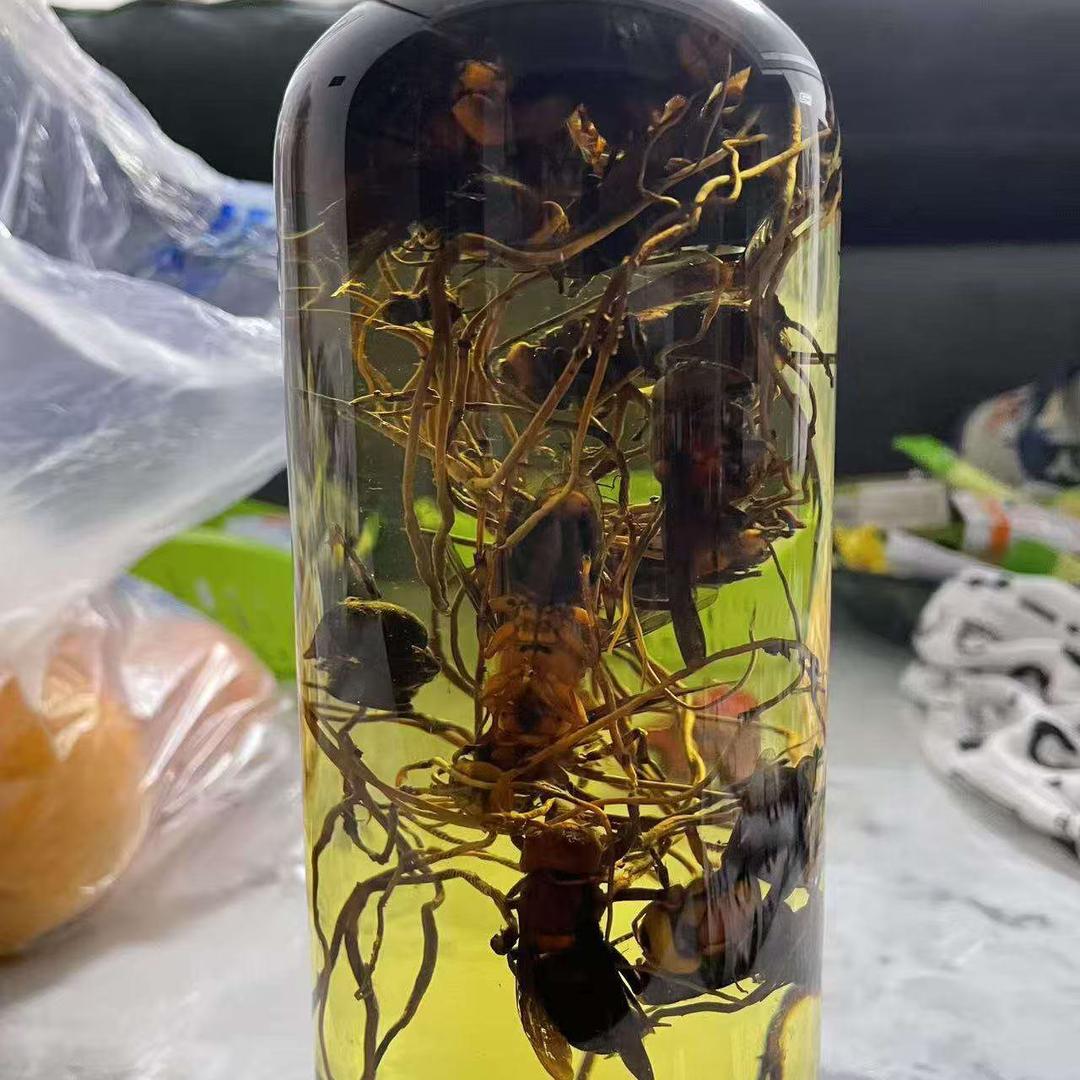 人生有你一路有你