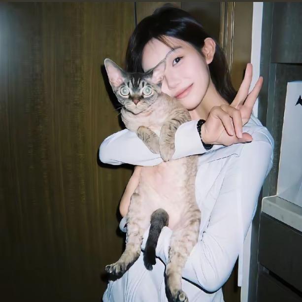 奥利奥夹屁心子