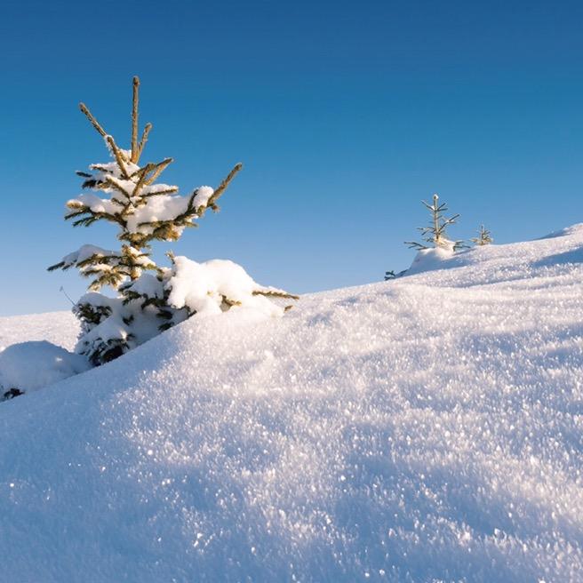 湖你怎么会有鲨鱼呀