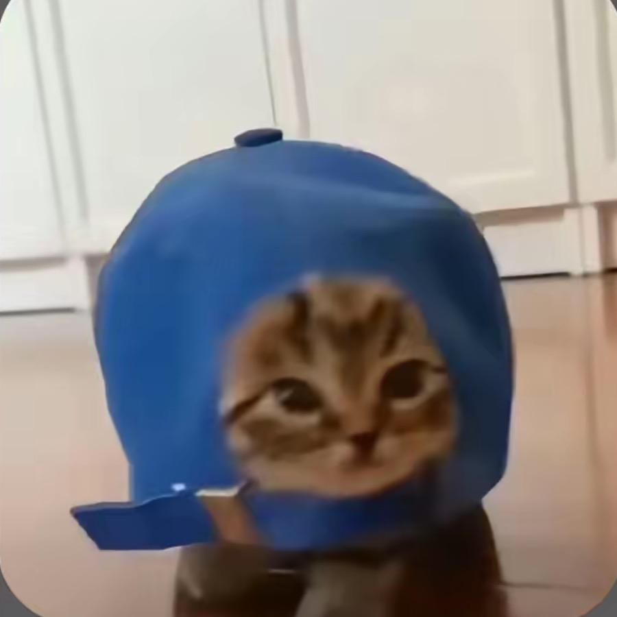 Gold闪闪🌟（喜猪妹版）