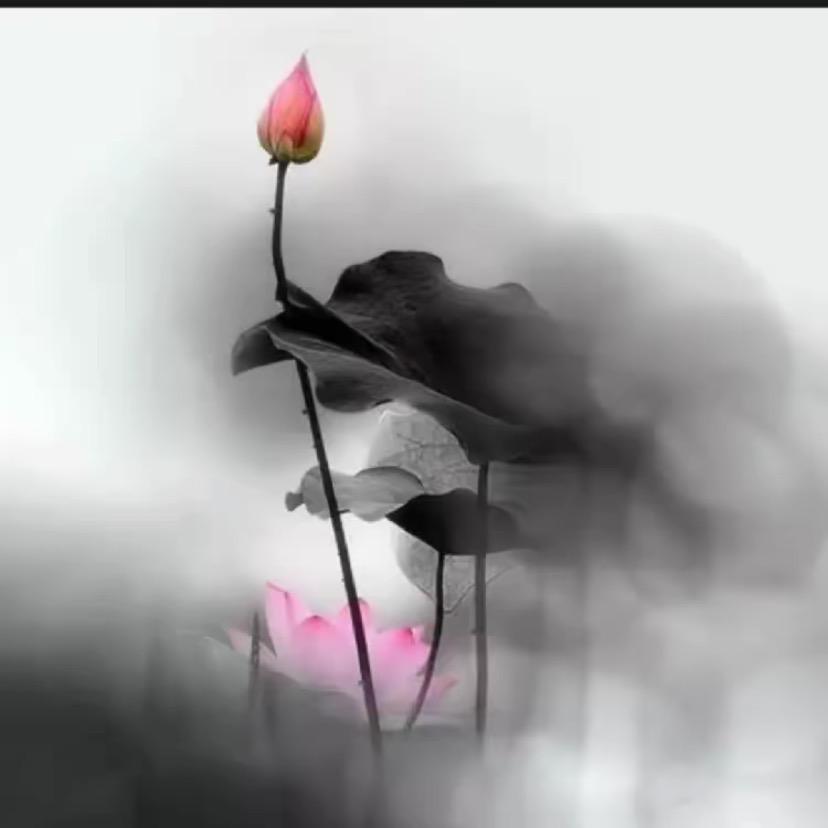 小师兄妙玄🪷