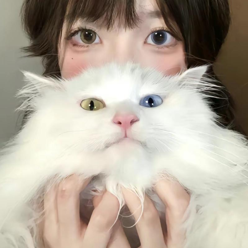 招财静宝(づ′▽`)づ