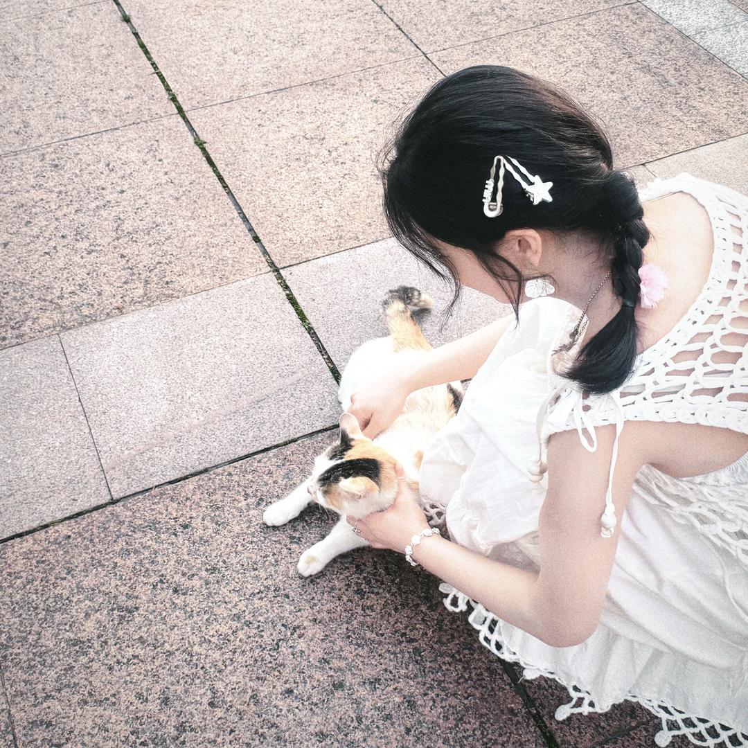 哇塞💤