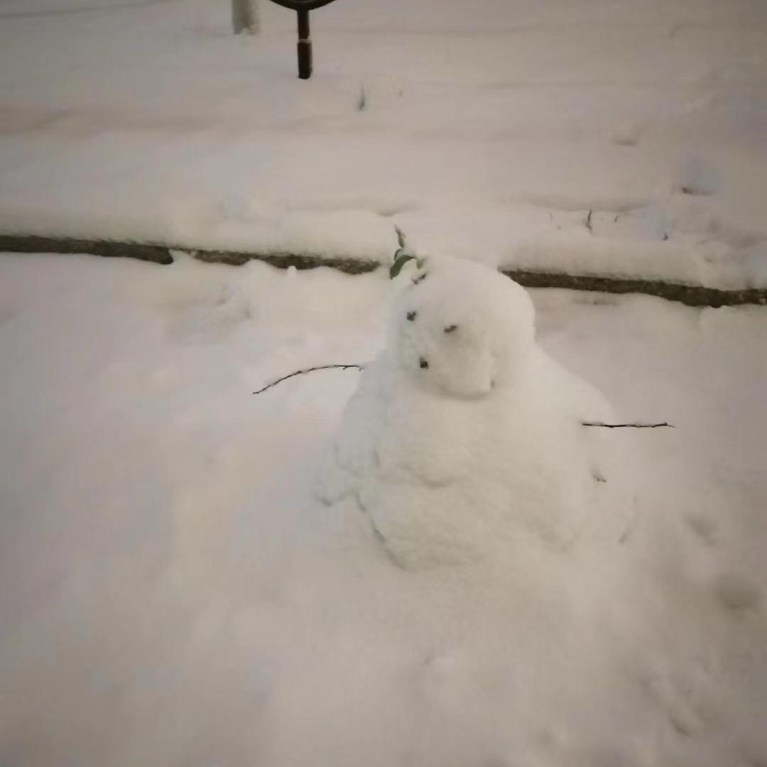 秋水