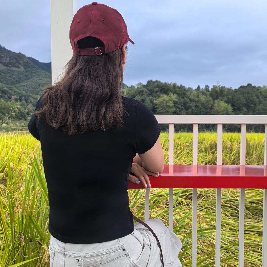 缙云通信小狐狸