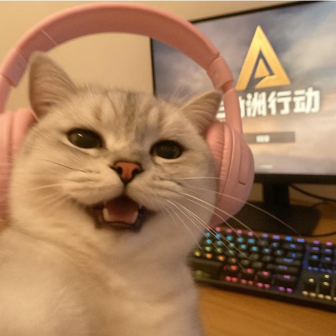 猫猫（三角洲护航）
