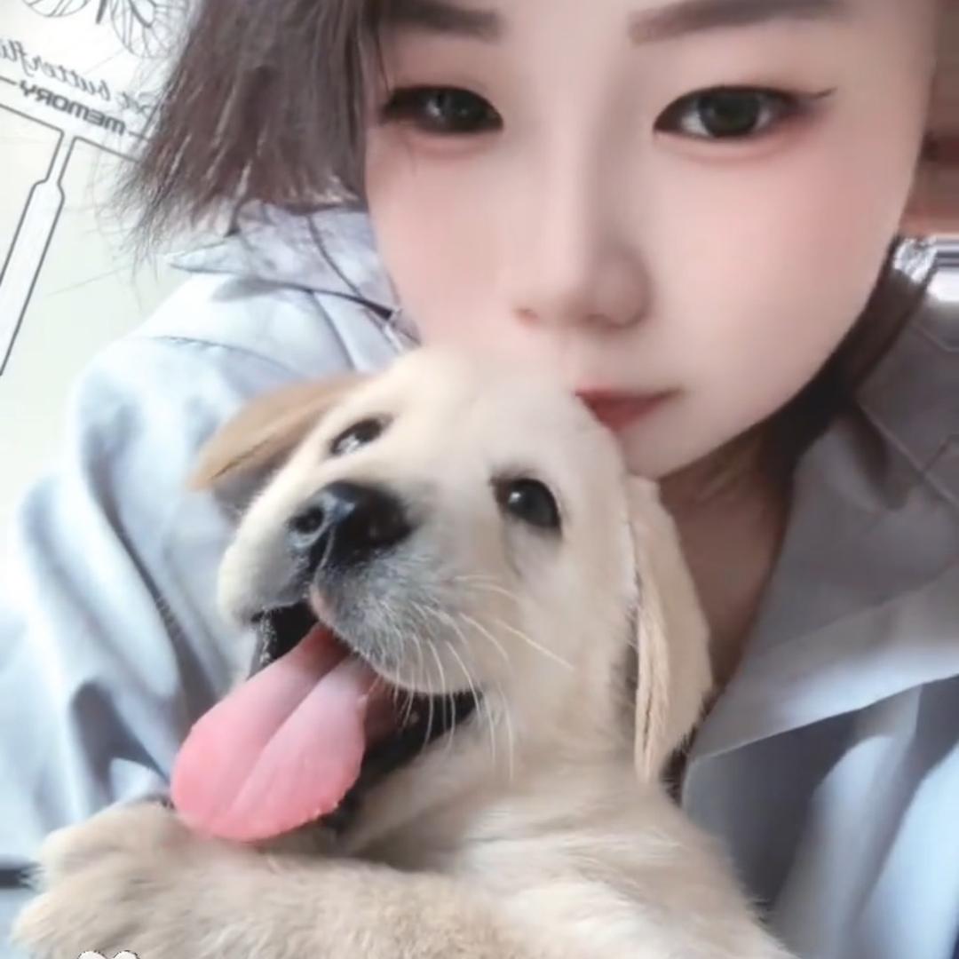 奶冻
