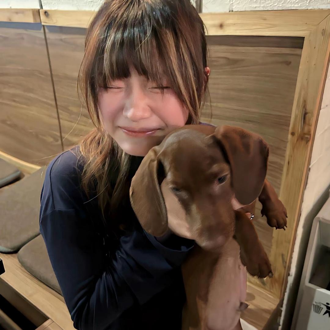 我不爱吃眼泪拌饭