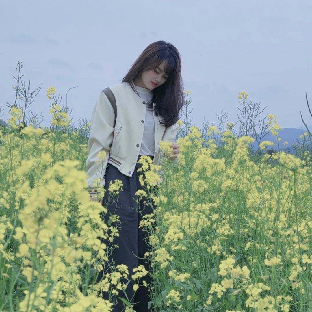 🌺大慧子