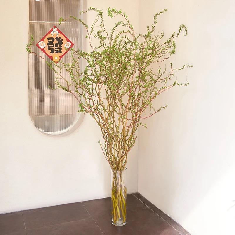 新壹生活花材
