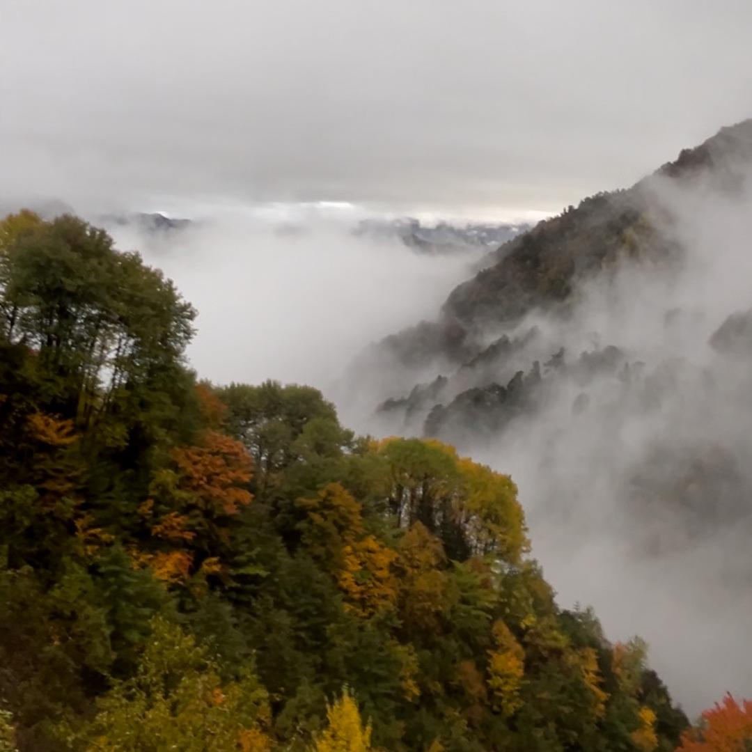 。。。。。。。