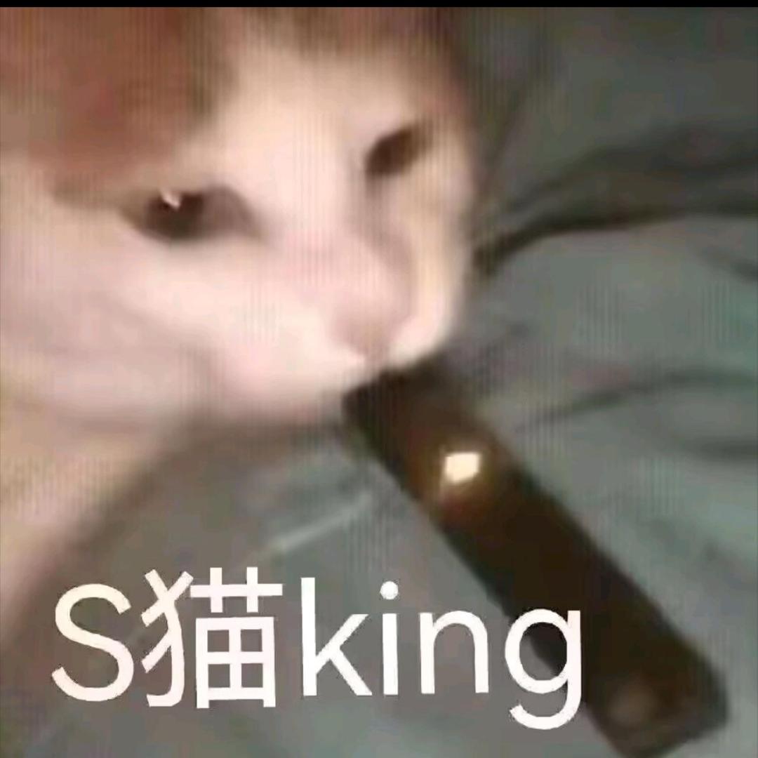 le片里熟睡的正主