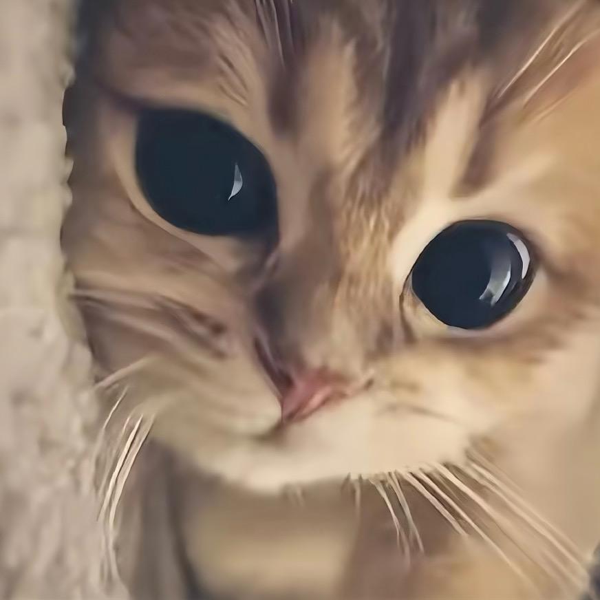 邯郸要饭的（看到我请让我刷题）