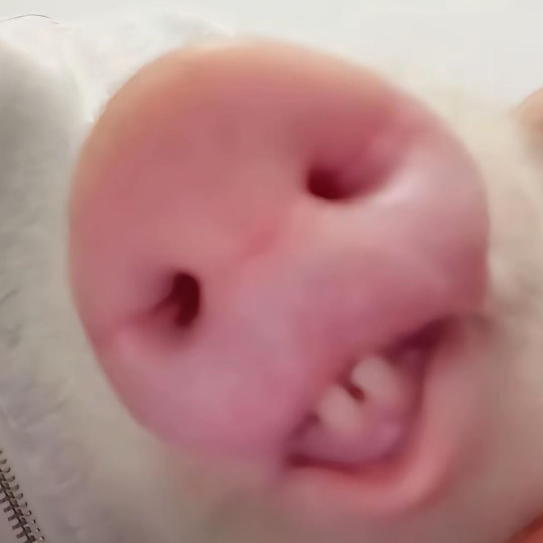 她 说
