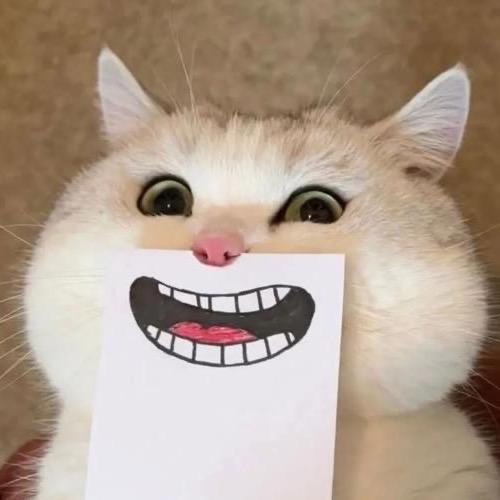 忆