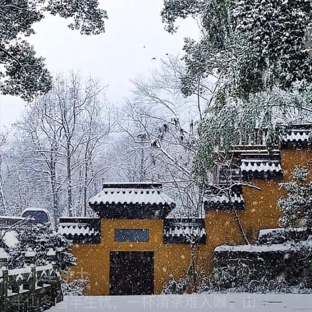 ❄️清凉❄️