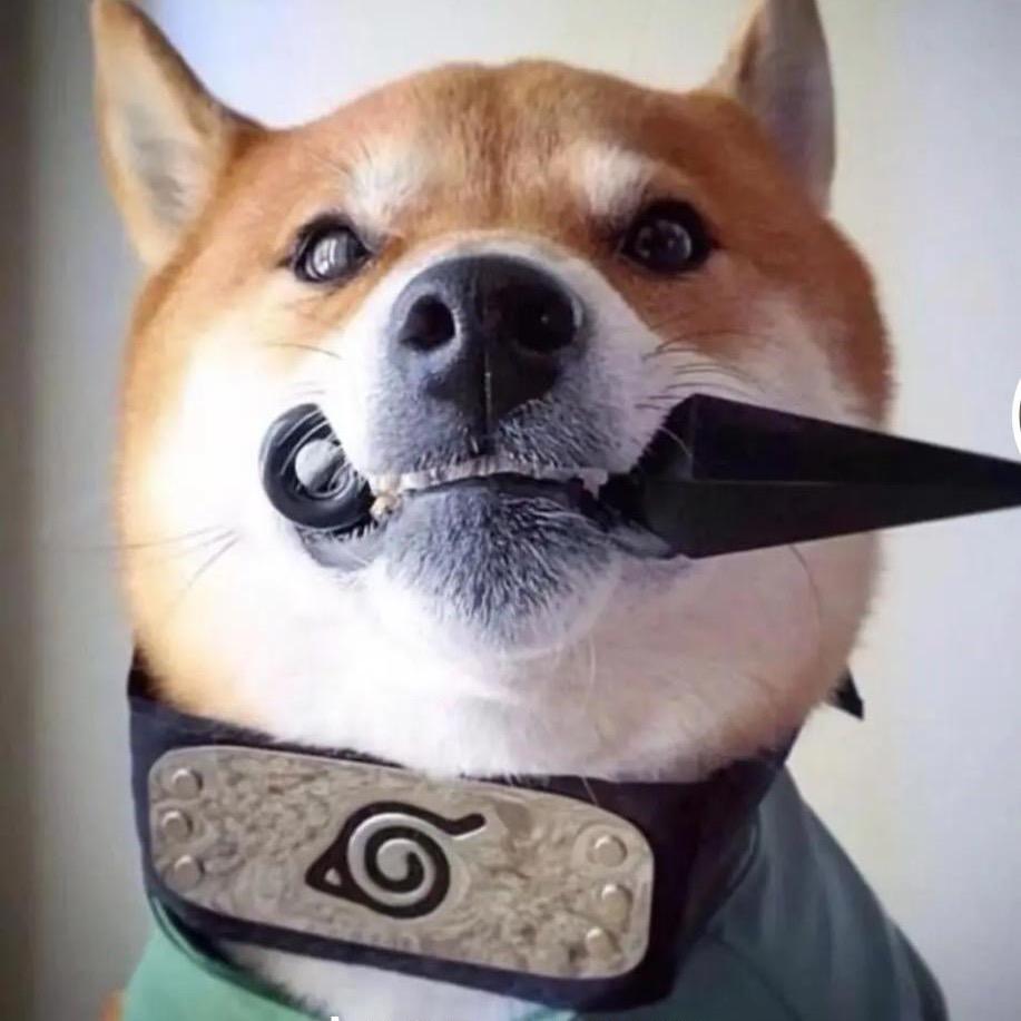 今晚吃啥