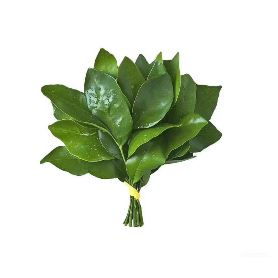 随心ℳ๓所欲
