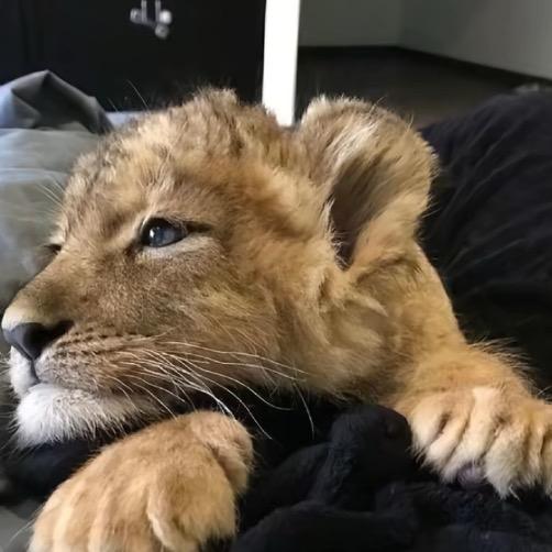 ￴￴￴ ￴￴￴￴ ￴￴ ￴