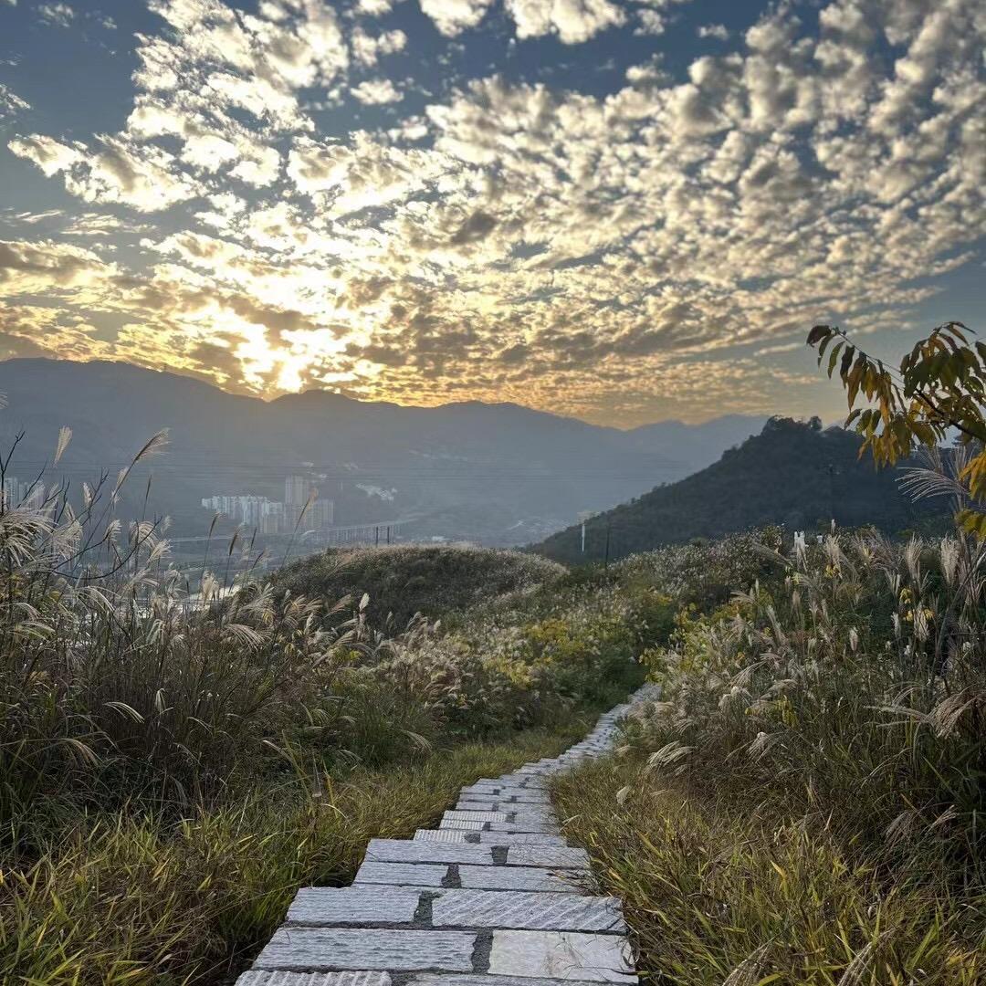 🌱朝阳✨⁸⁰⁸⁷