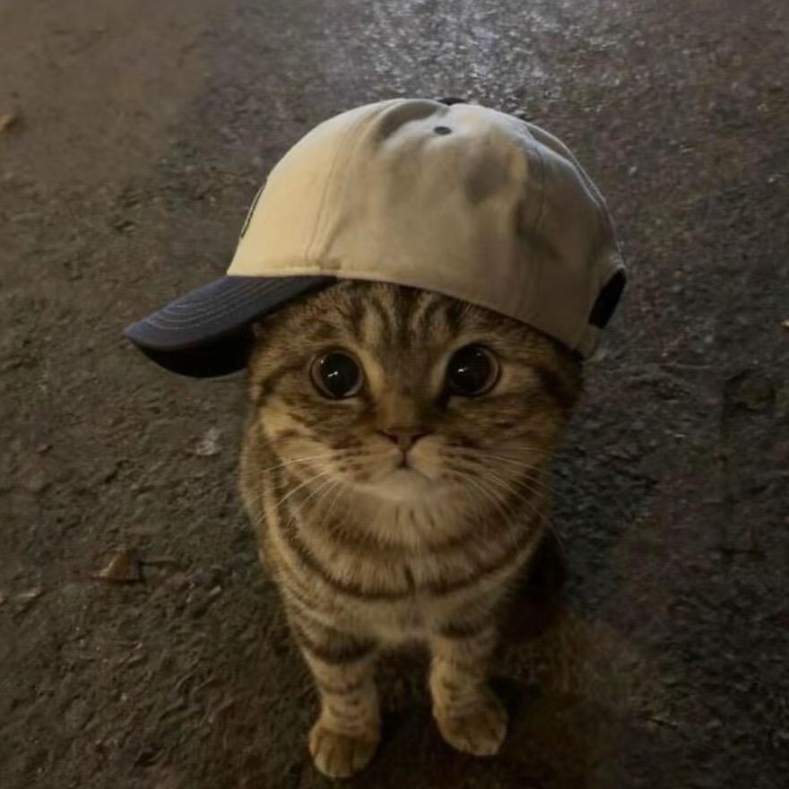 Swag✨