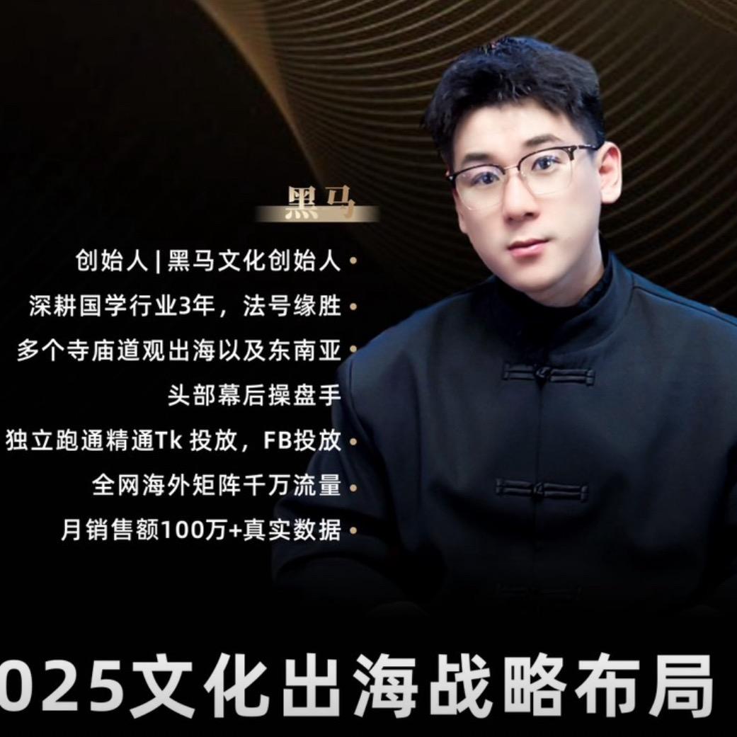 黑马文化跨境私域(干中学）