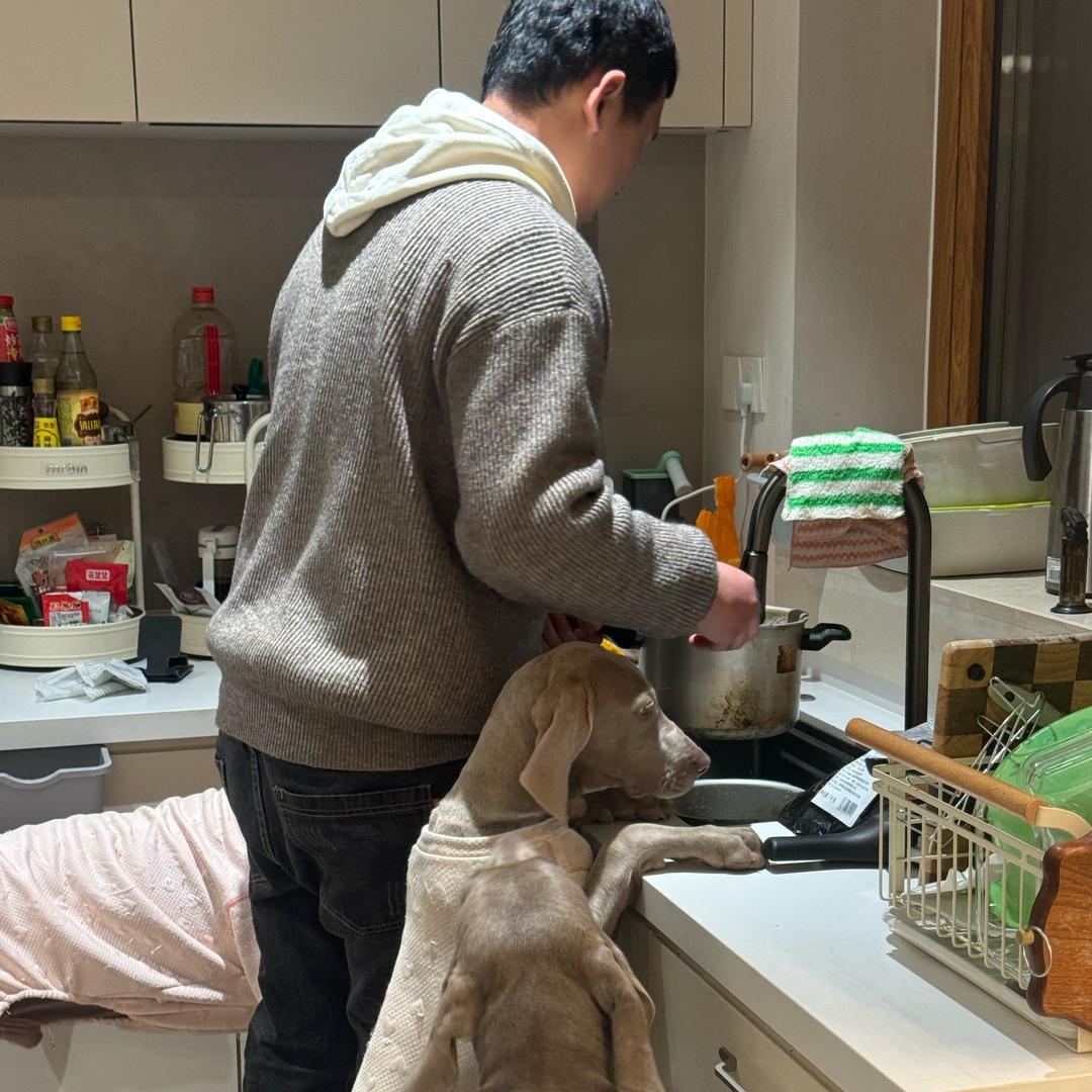 大瑶队长 （研究炸鸡开店版）