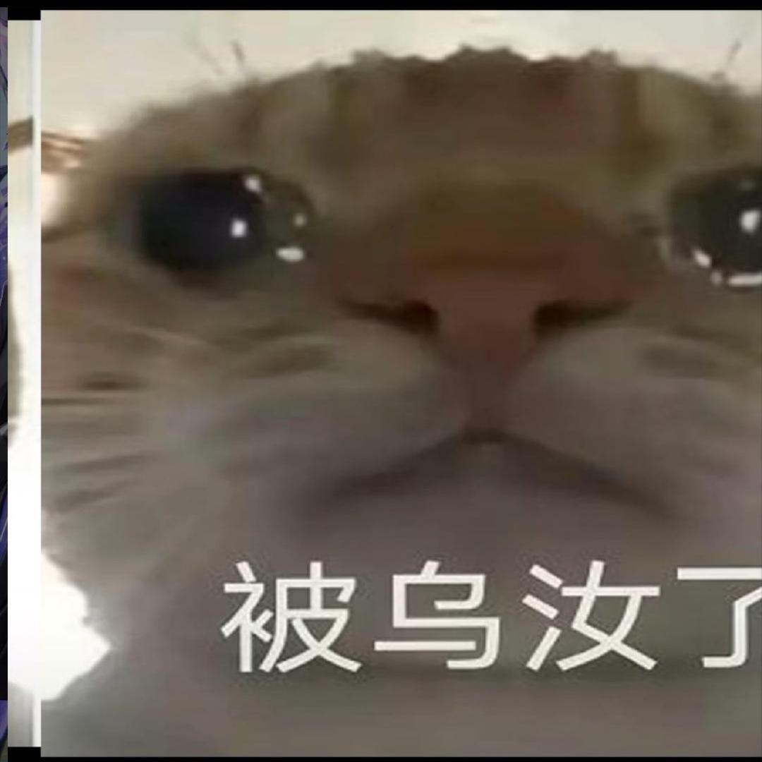 张博宇牛比666666999