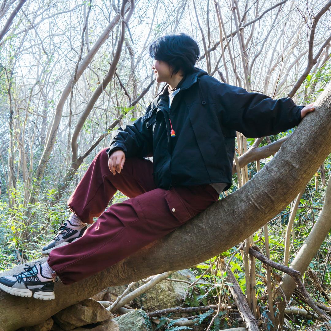 12345上山打老虎