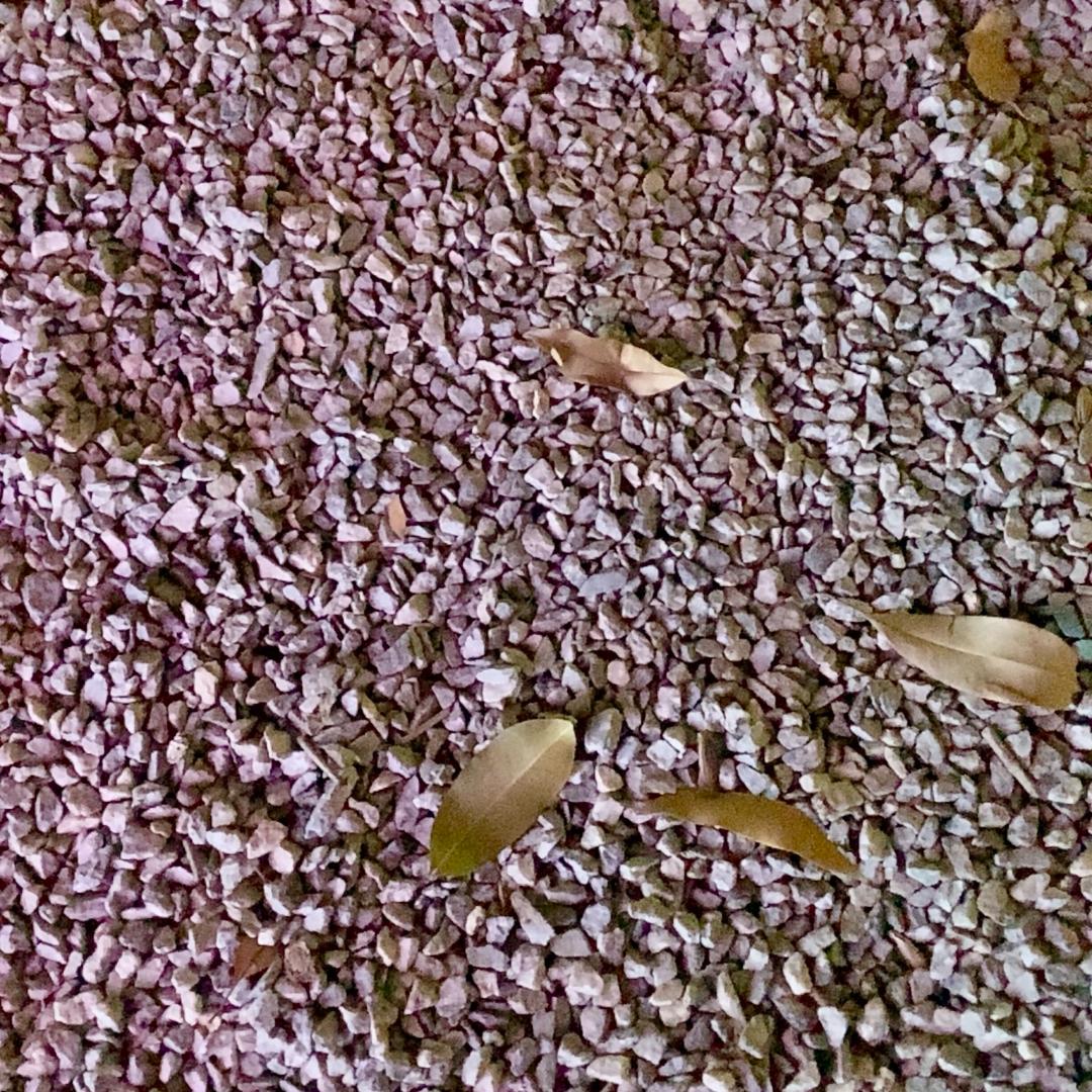 昇平人损大案（广东交通理赔）