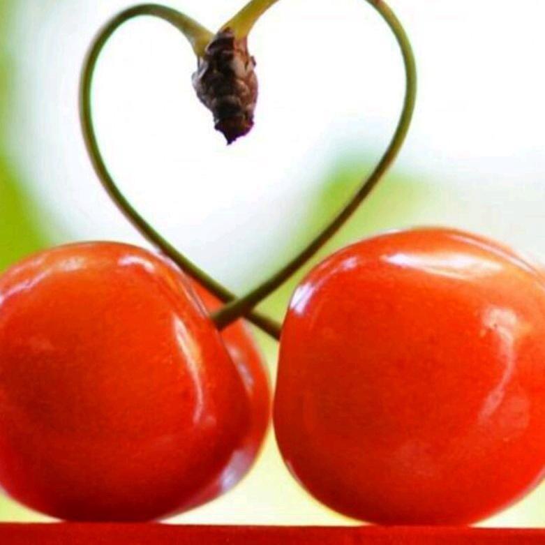 💞随心💞所欲