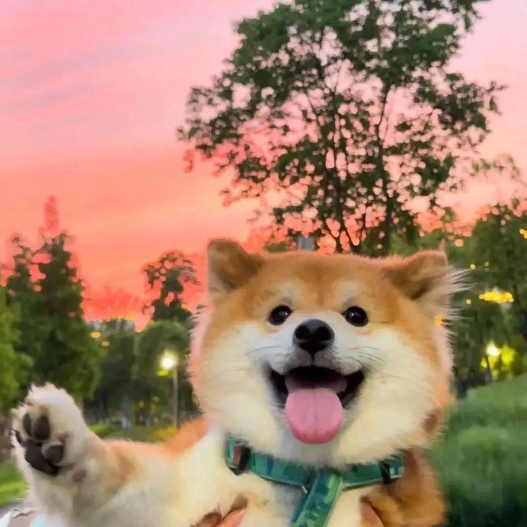 归