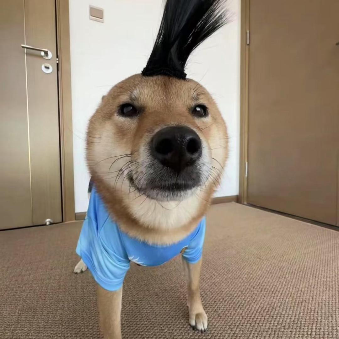 老风瘦白髫