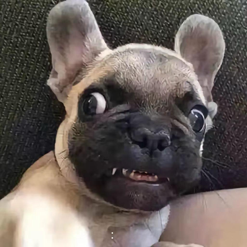 @睡不醒的小杨