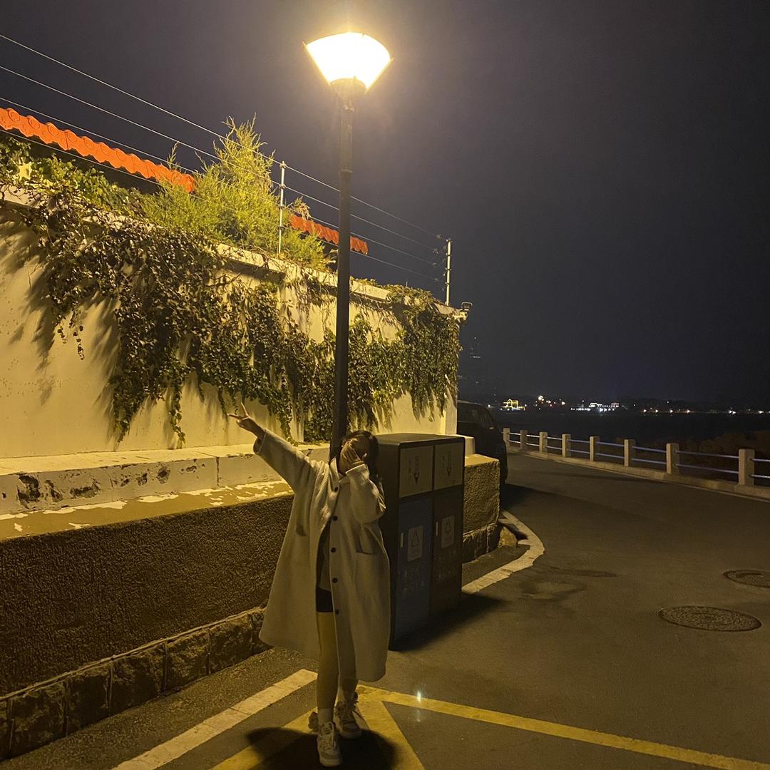 荷杏.