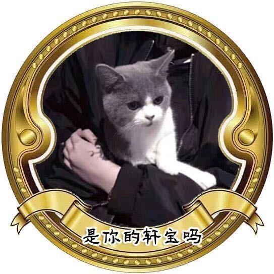 独宠唔心