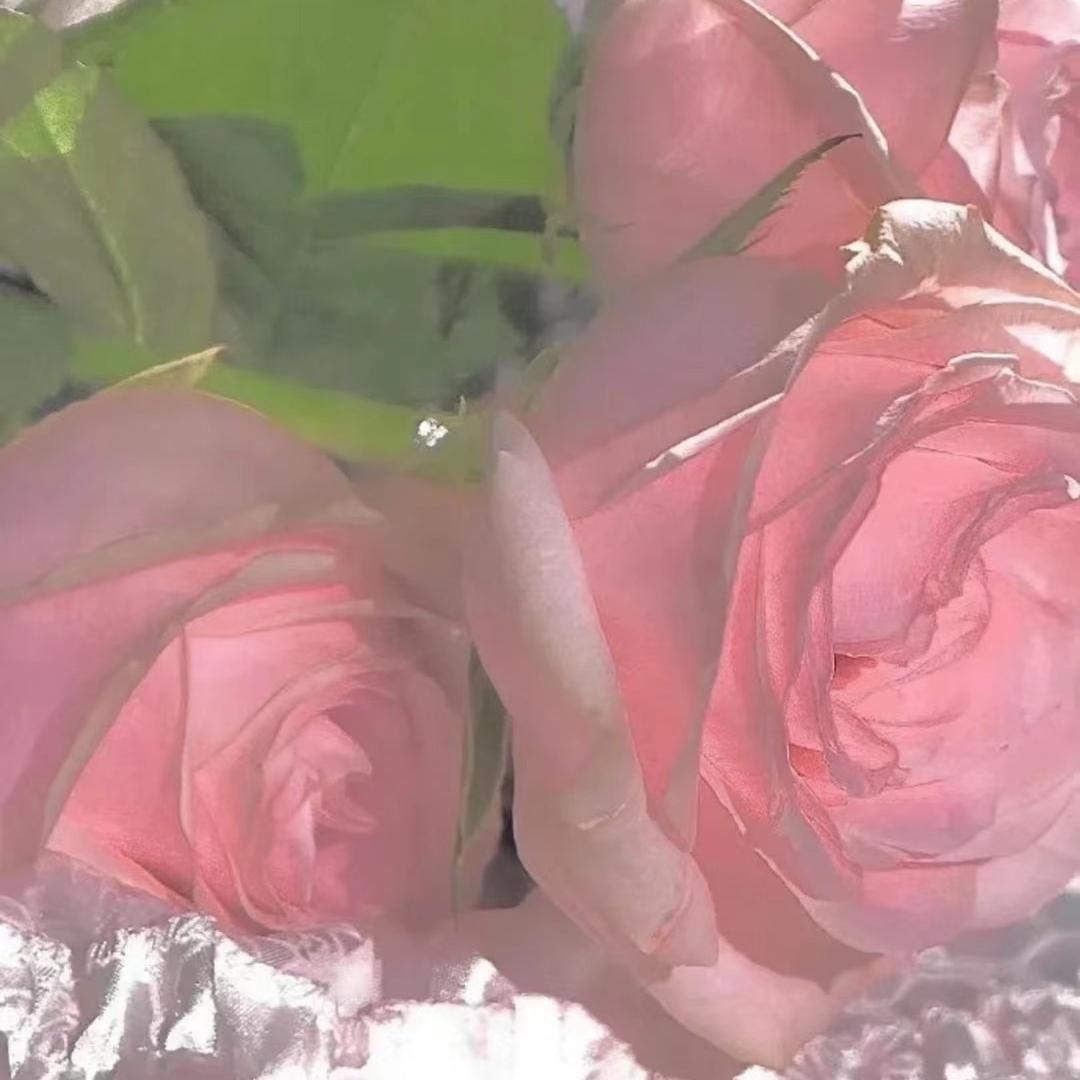 慧姐姐的女装店