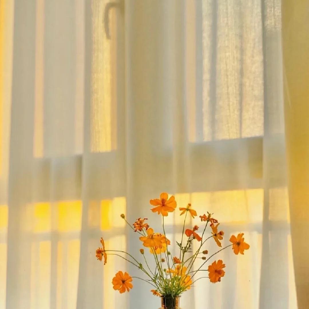 一枝花