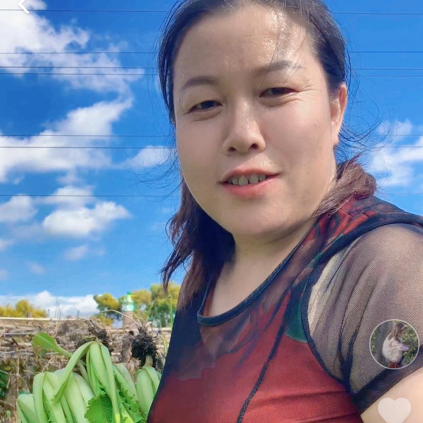 小猴妈妈
