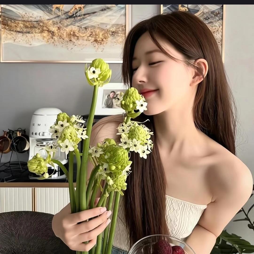 重生之我是美羊羊