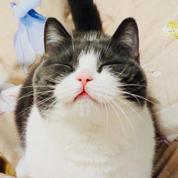 夏天♡.