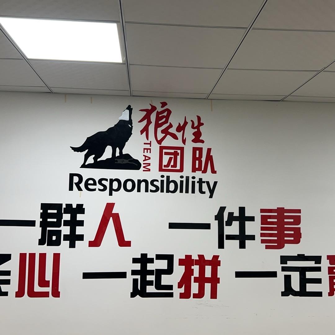 杨羊好物推荐