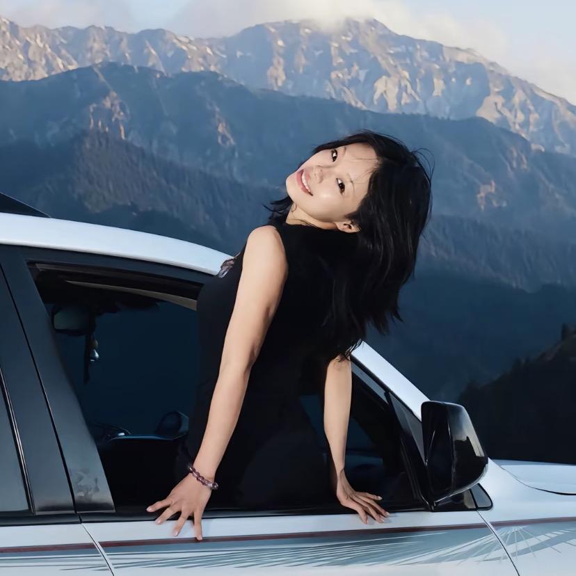 仿生人的电子菠萝🍍