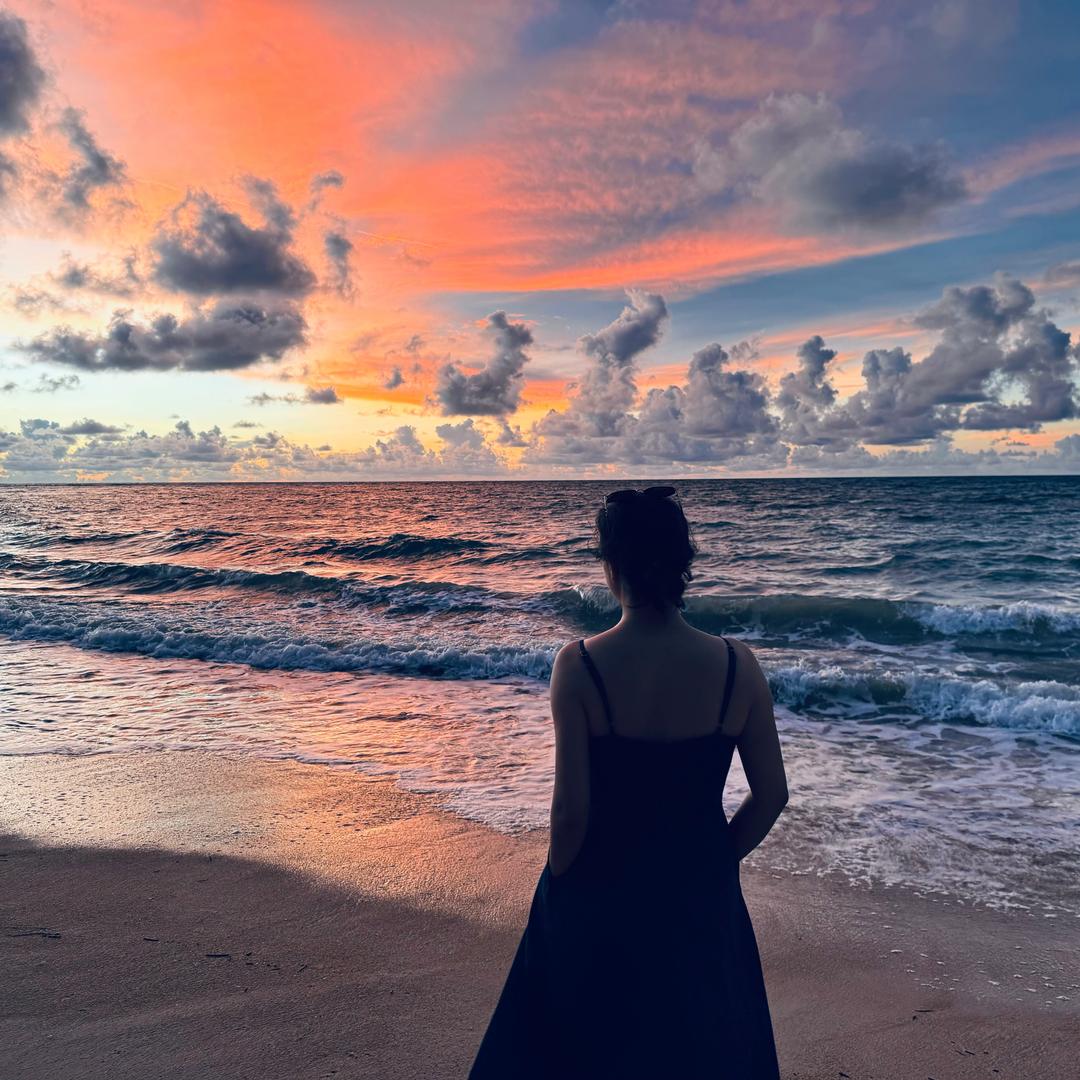 车世界的小冤总