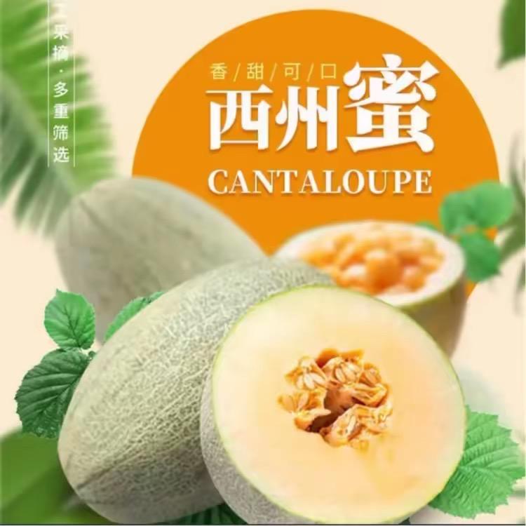 小冯同学❣️