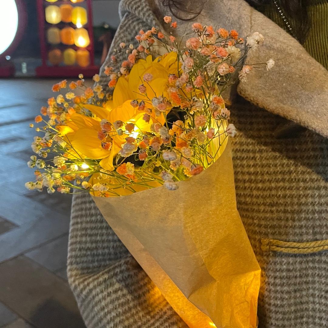 哆来咪fa