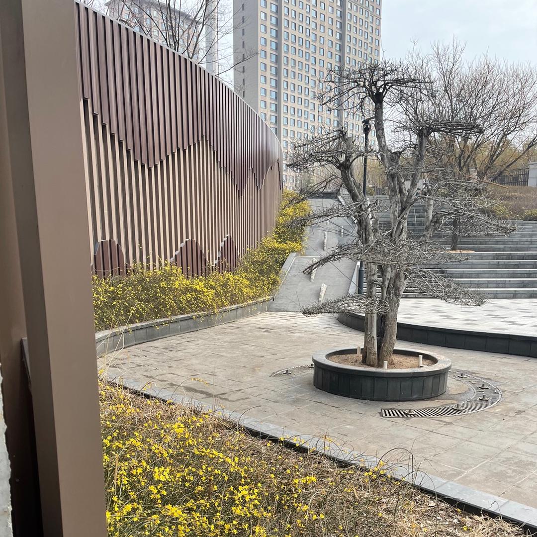 抖音号特难想，真的是呀