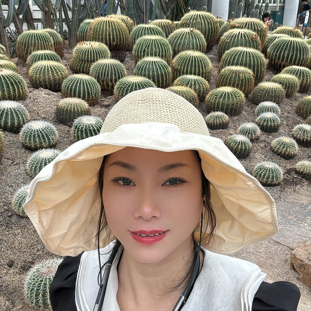 温州文成小叶